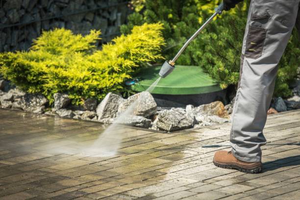 Best Roof Washing  in Mastic, NY